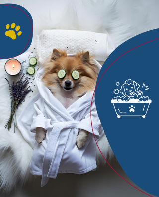 Pet Spa